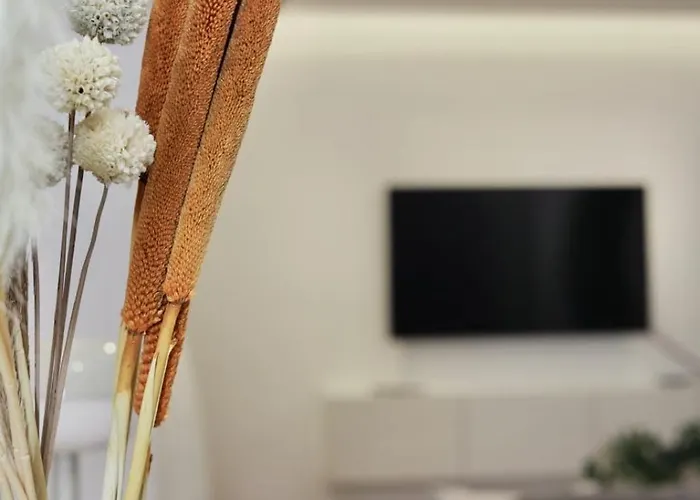 Appartement Cosy Et Lumineux