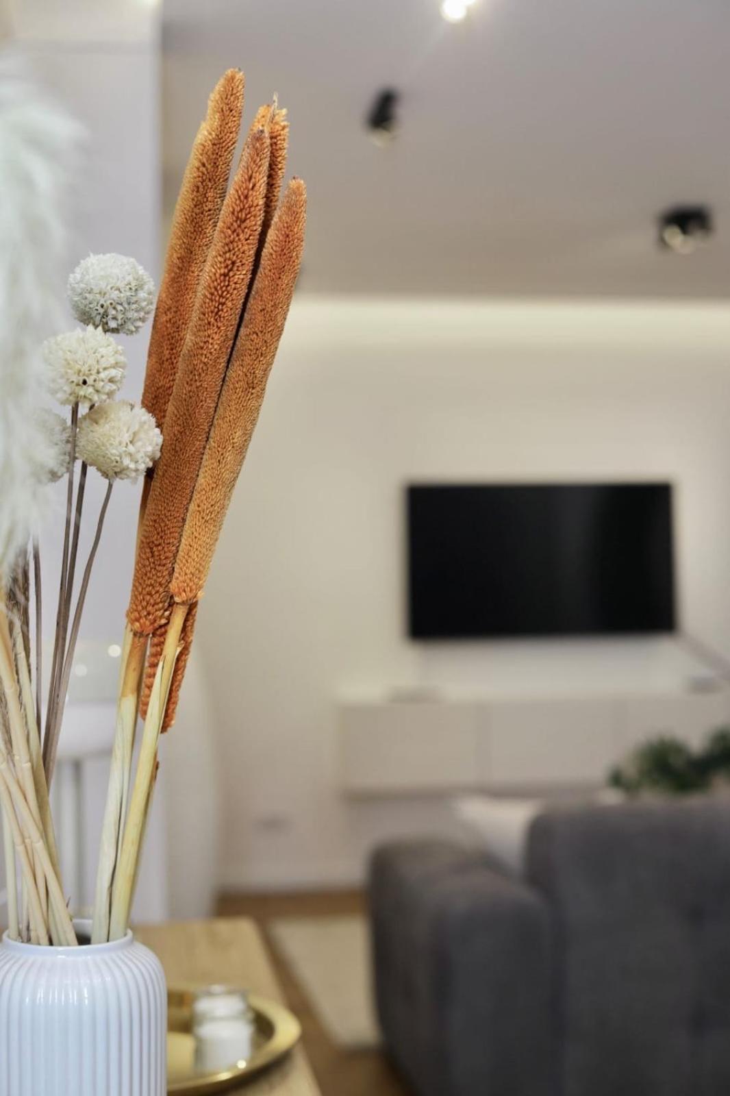 Cosy Et Lumineux *